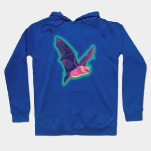 Micro Bat Using Echolocation Hoodie